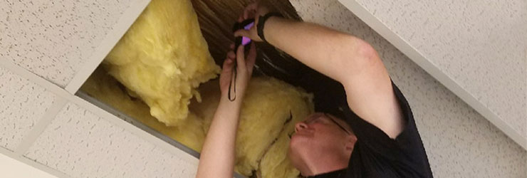 Fire Safety Inspections Division