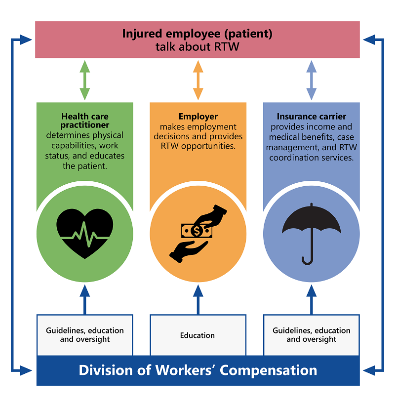 Return to work roles: Injured employee (patient) talks about RTW Health care practitioner determines physical capabilities, work status, and educates the patient. (DWC provides guidelines, education and oversight.) Employer makes employment decisions and provides RTW opportunities. (DWC provides education and the small employer reimbursement program.) Insurance carrier provides income and medical benefits, case management, and RTW coordination services. (DWC provides guidelines, education and oversight.)