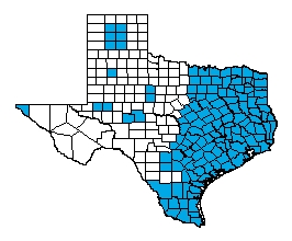 Rockport Community Network Service Area Map