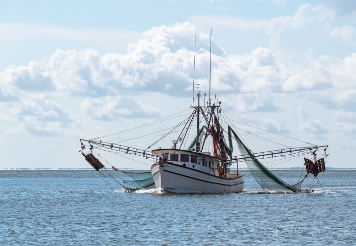 Commercial fishing
