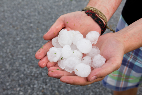 Photo of a persons hands holding hail stones.