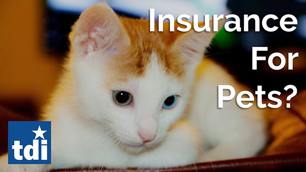 Pet insurance