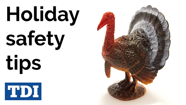 Celebrate Thanksgiving safely